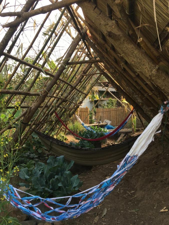Thong Family Homestay Chiangdao Чіанґдау Екстер'єр фото