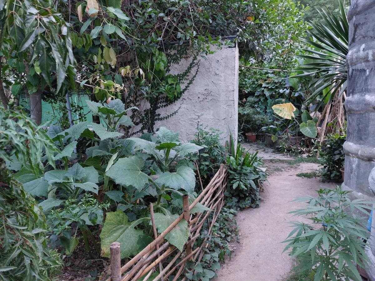Thong Family Homestay Chiangdao Чіанґдау Екстер'єр фото