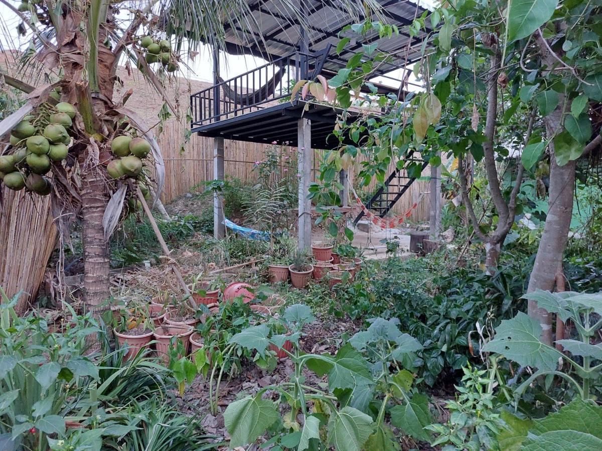 Thong Family Homestay Chiangdao Чіанґдау Екстер'єр фото