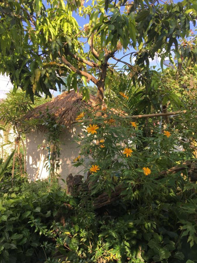 Thong Family Homestay Chiangdao Чіанґдау Екстер'єр фото